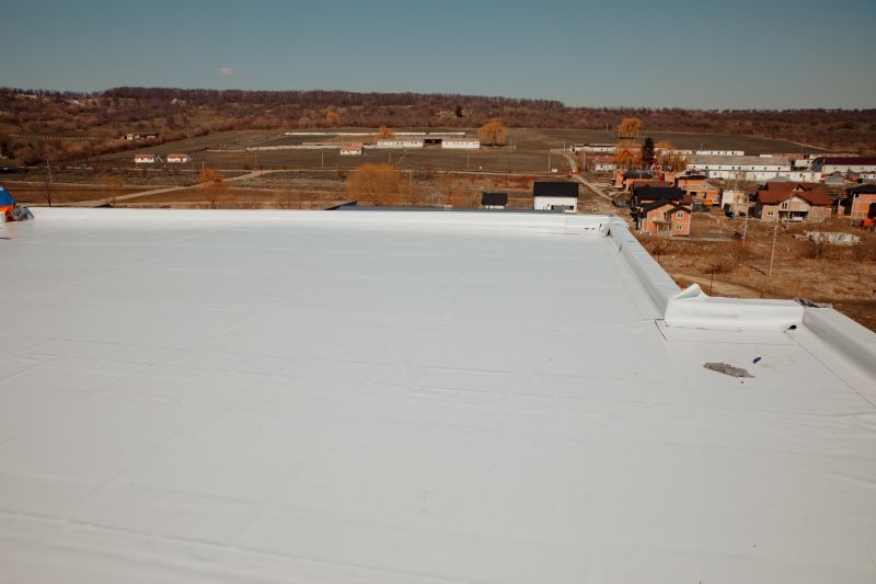Best Industrial Roofing Contractors in Cibolo, TX