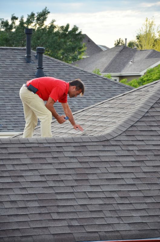 Roof Inspection in Spring
